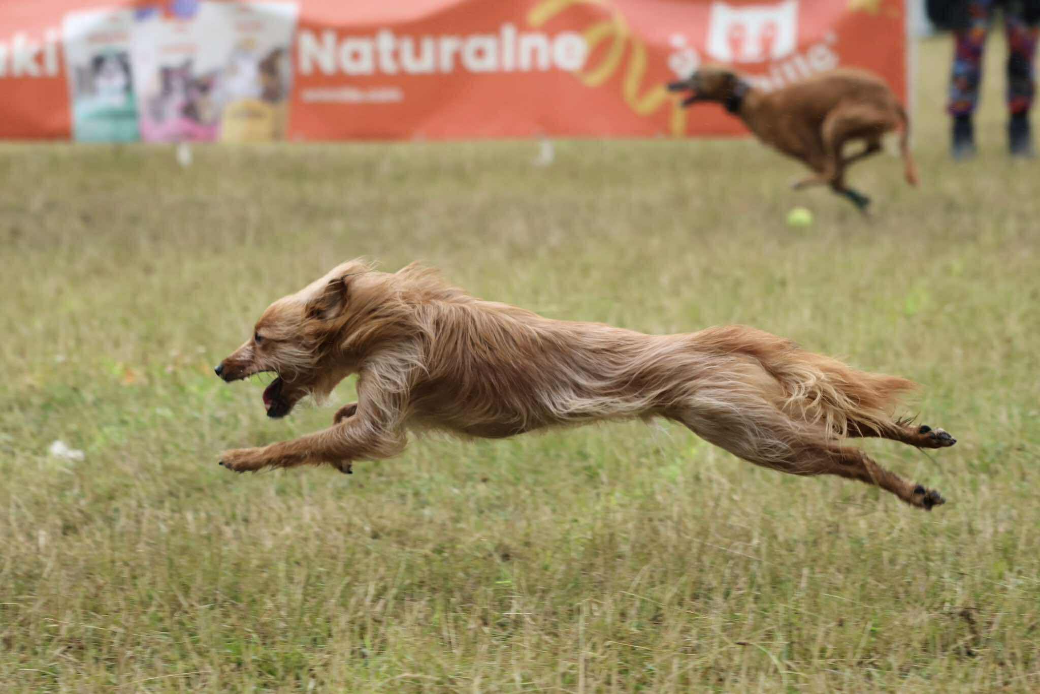 520255276_1097804815595787_5396431245820510557_n