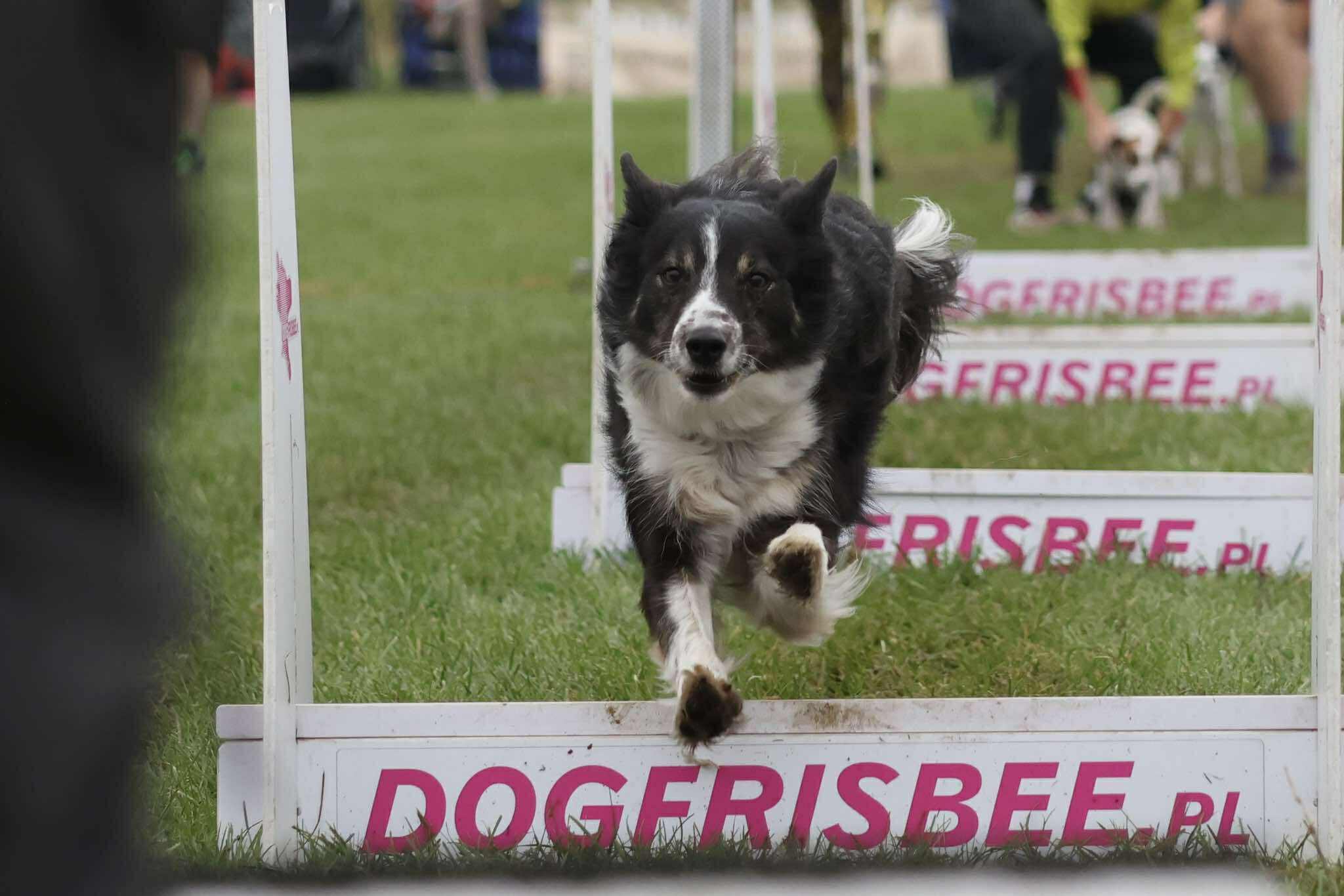 546850688_758096487205895_4403686515092978395_n