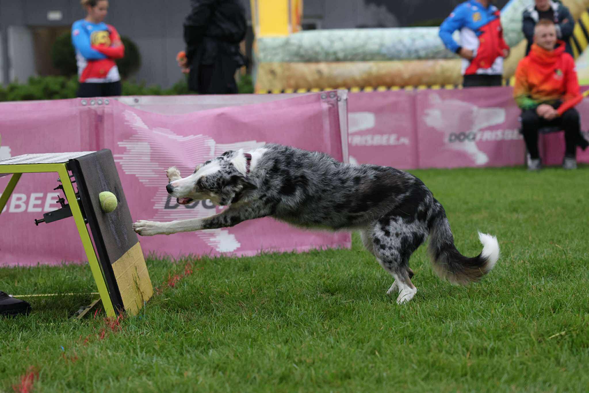 546852101_2562782724081555_6455132040643047112_n