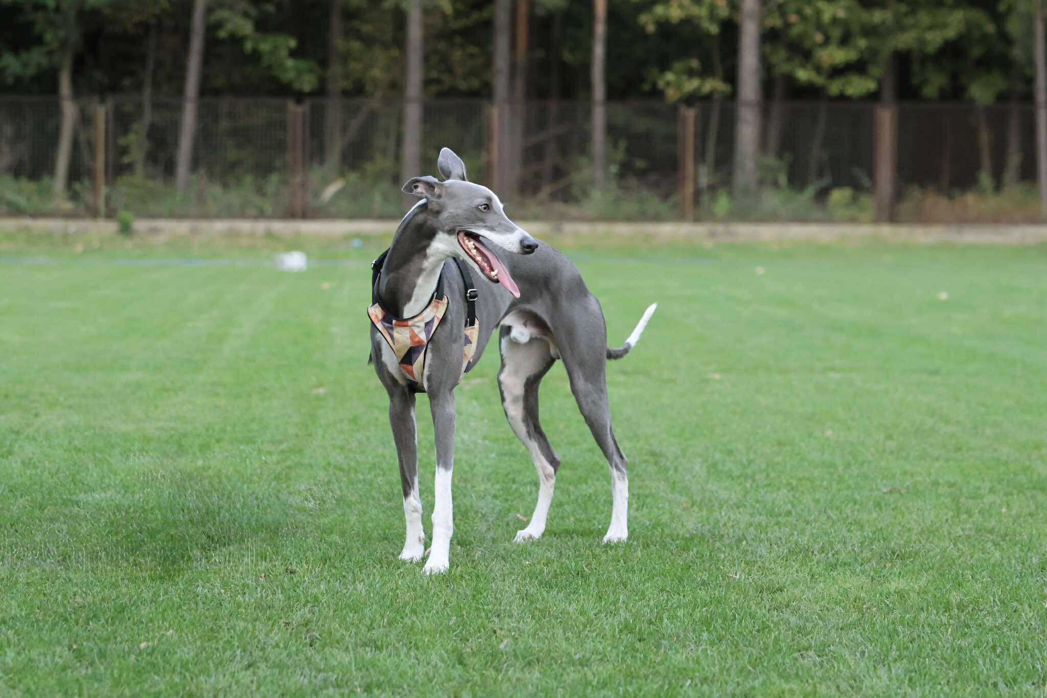 540679881_1109446161290508_4550235765739814711_n