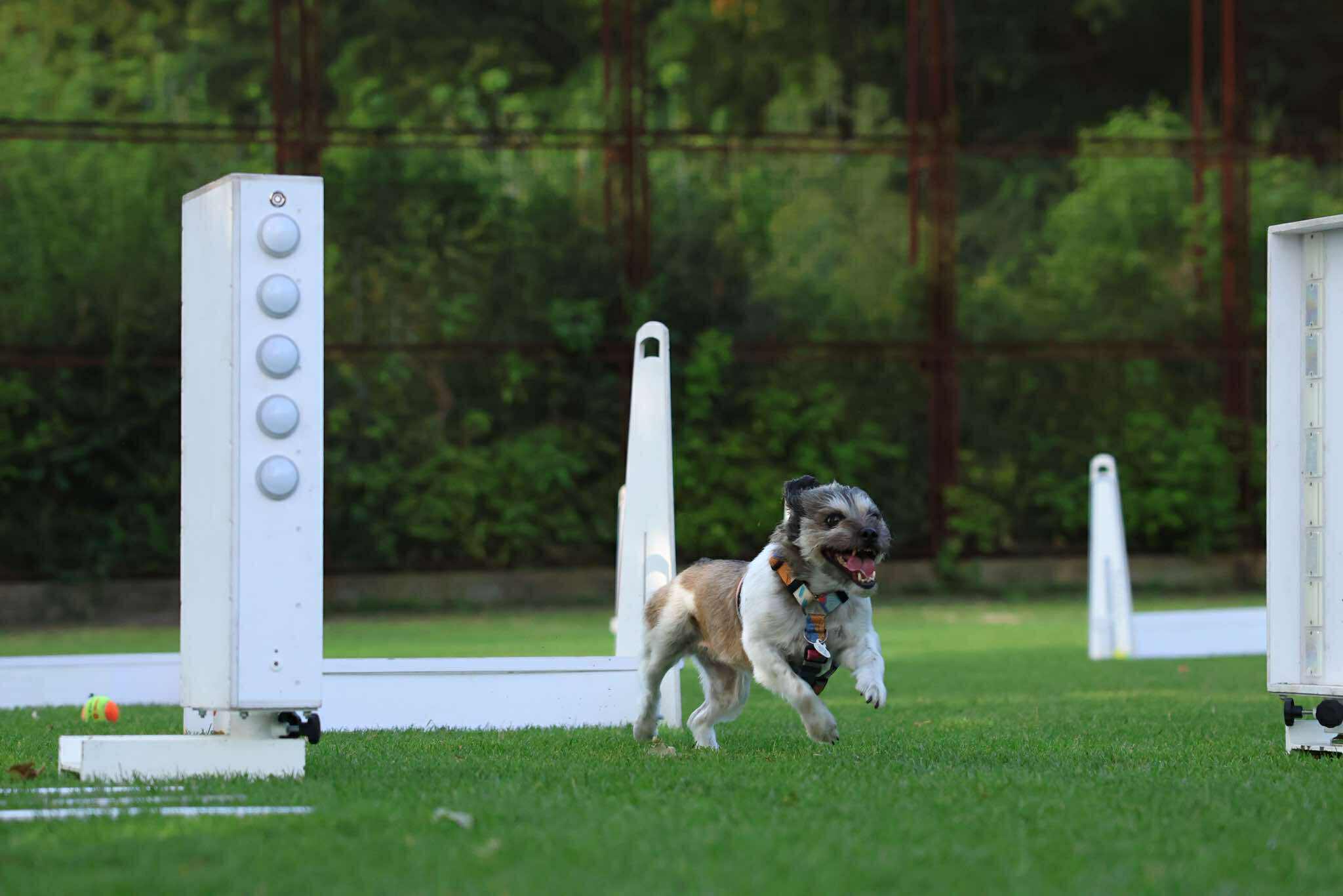 541590067_1304574374719505_8210170441733676172_n