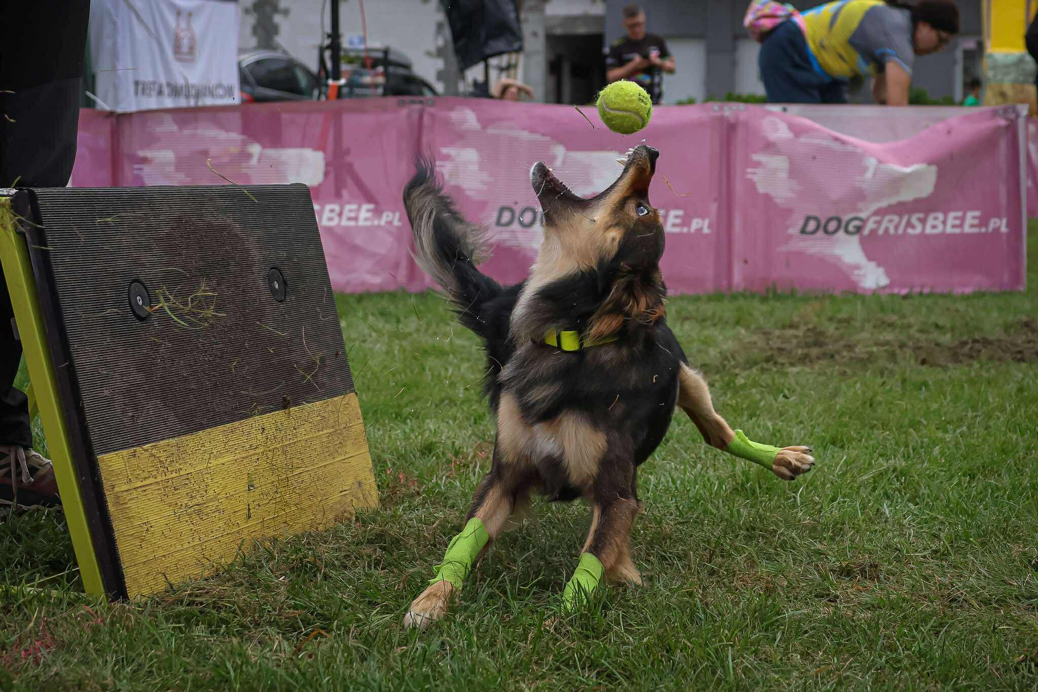 543058717_1115184507372047_3060333894043970231_n