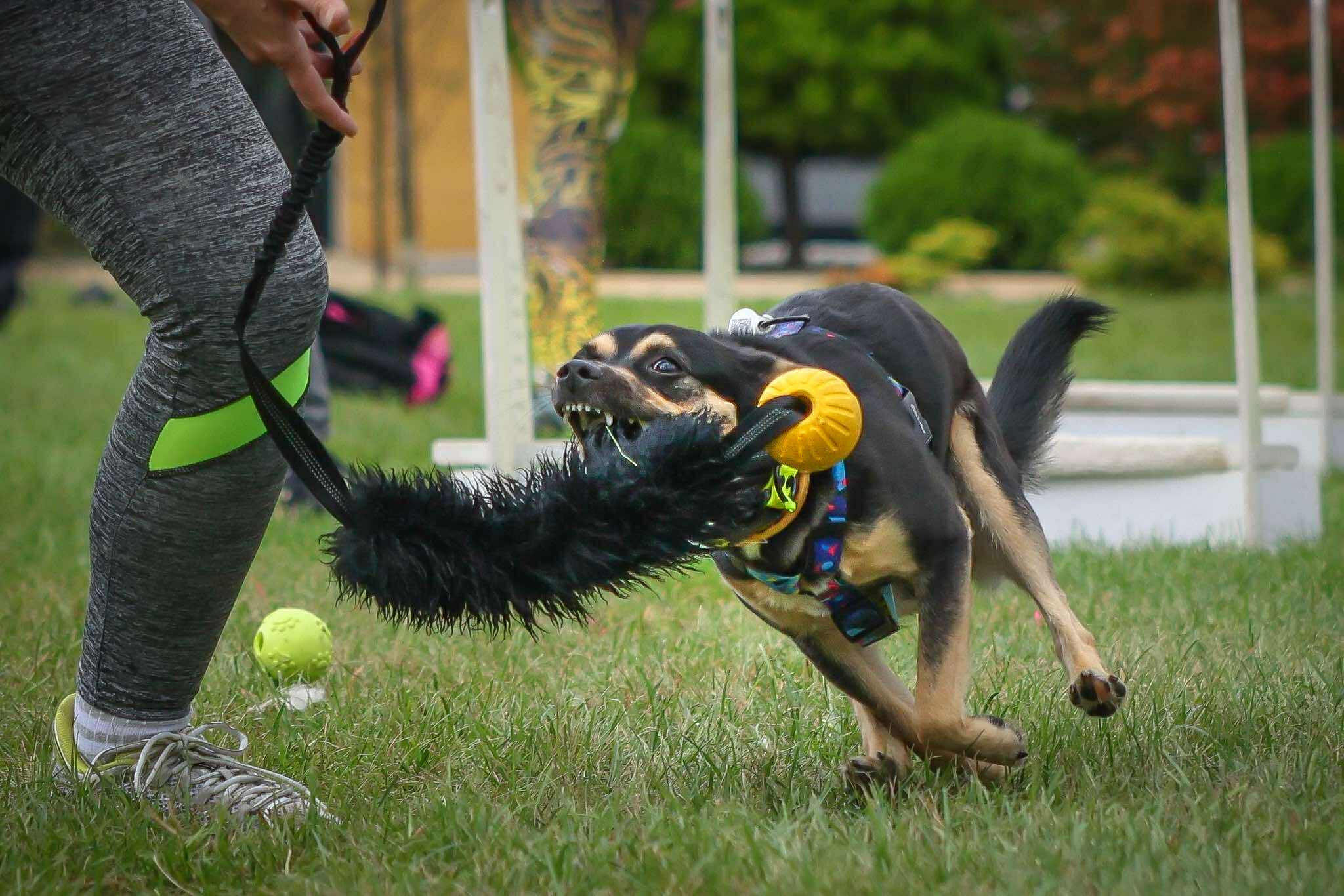 548776802_1438141651115144_1346852825999554209_n