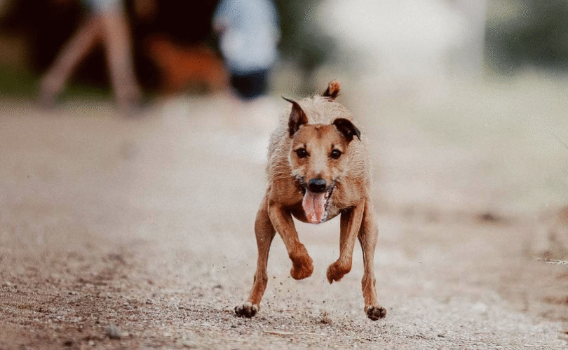 Zrzut ekranu 2025-10-16 024702