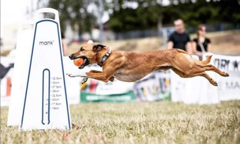 Zrzut ekranu 2025-10-16 025808