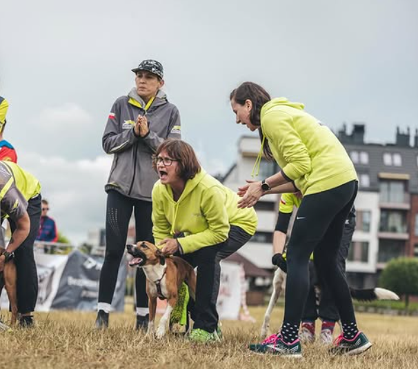 Zrzut ekranu 2025-10-16 030522