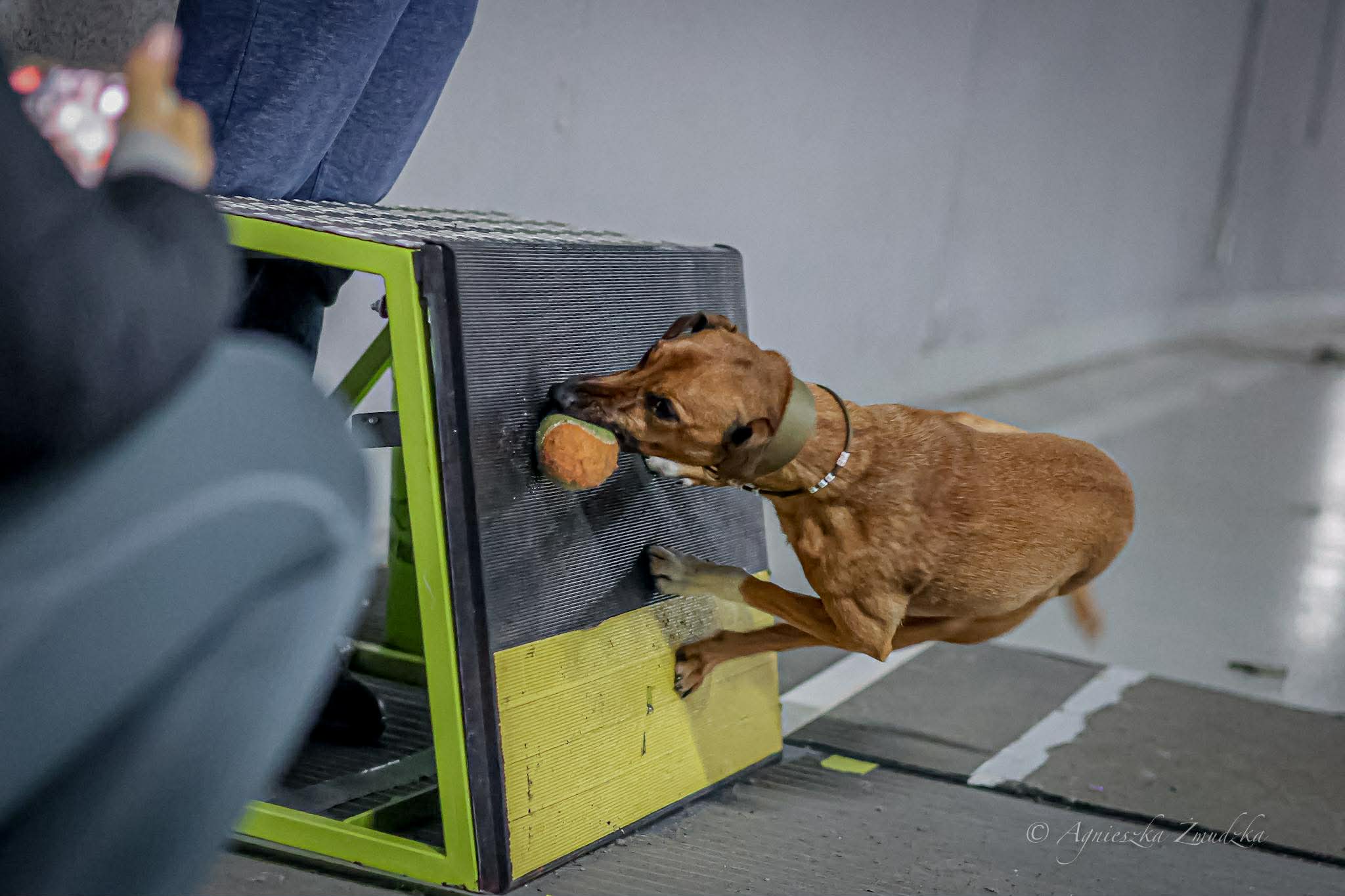 583588216_798917073124751_3801285715077541734_n