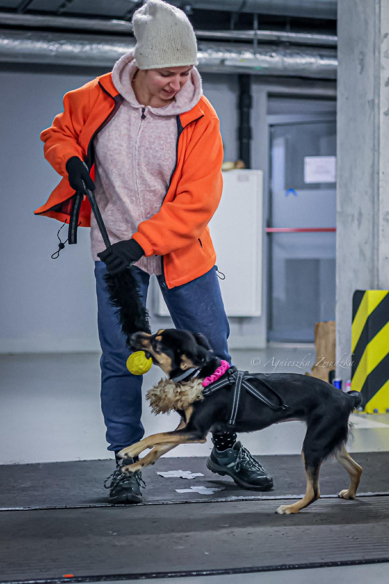 582666793_1364731801692140_8381910539930426547_n