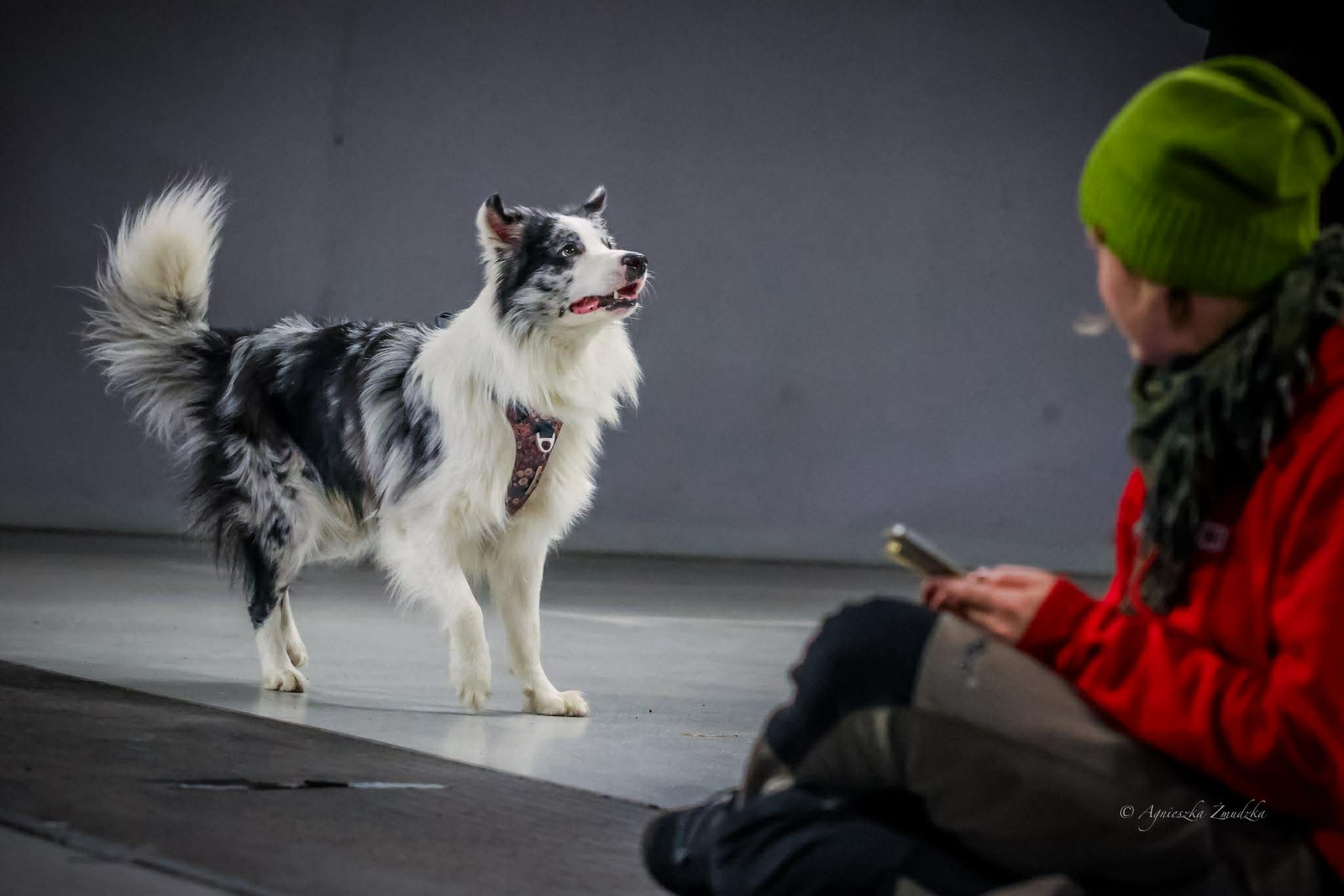 583048593_2704290686582094_4416258993461943891_n