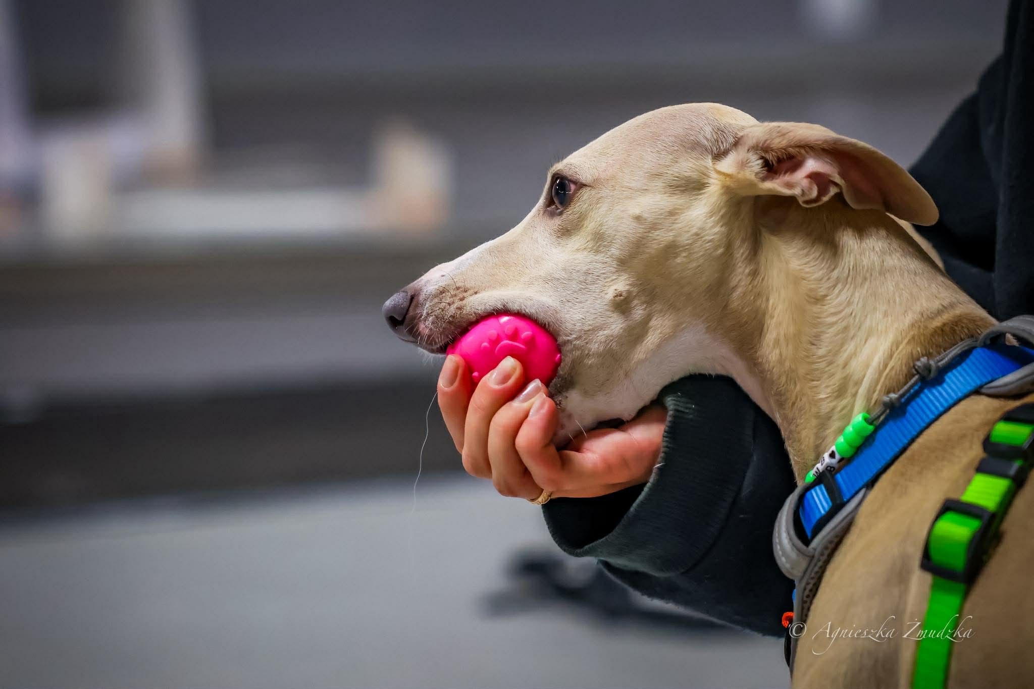 584439828_2081800419259328_5531279388149989007_n