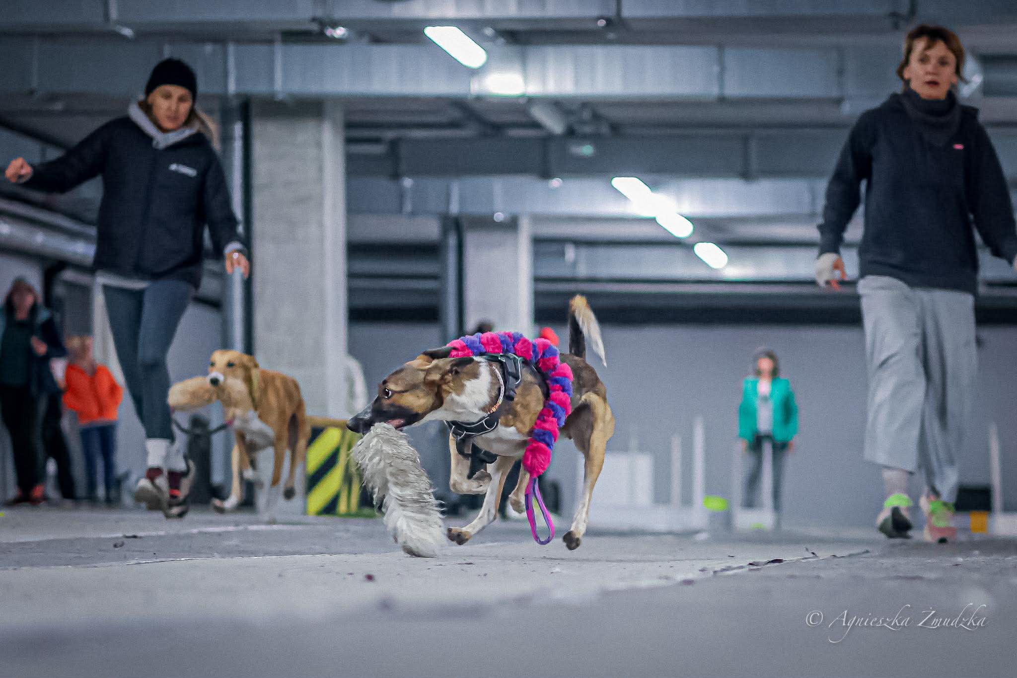 585213700_848064234303313_5752513581644470380_n (1)