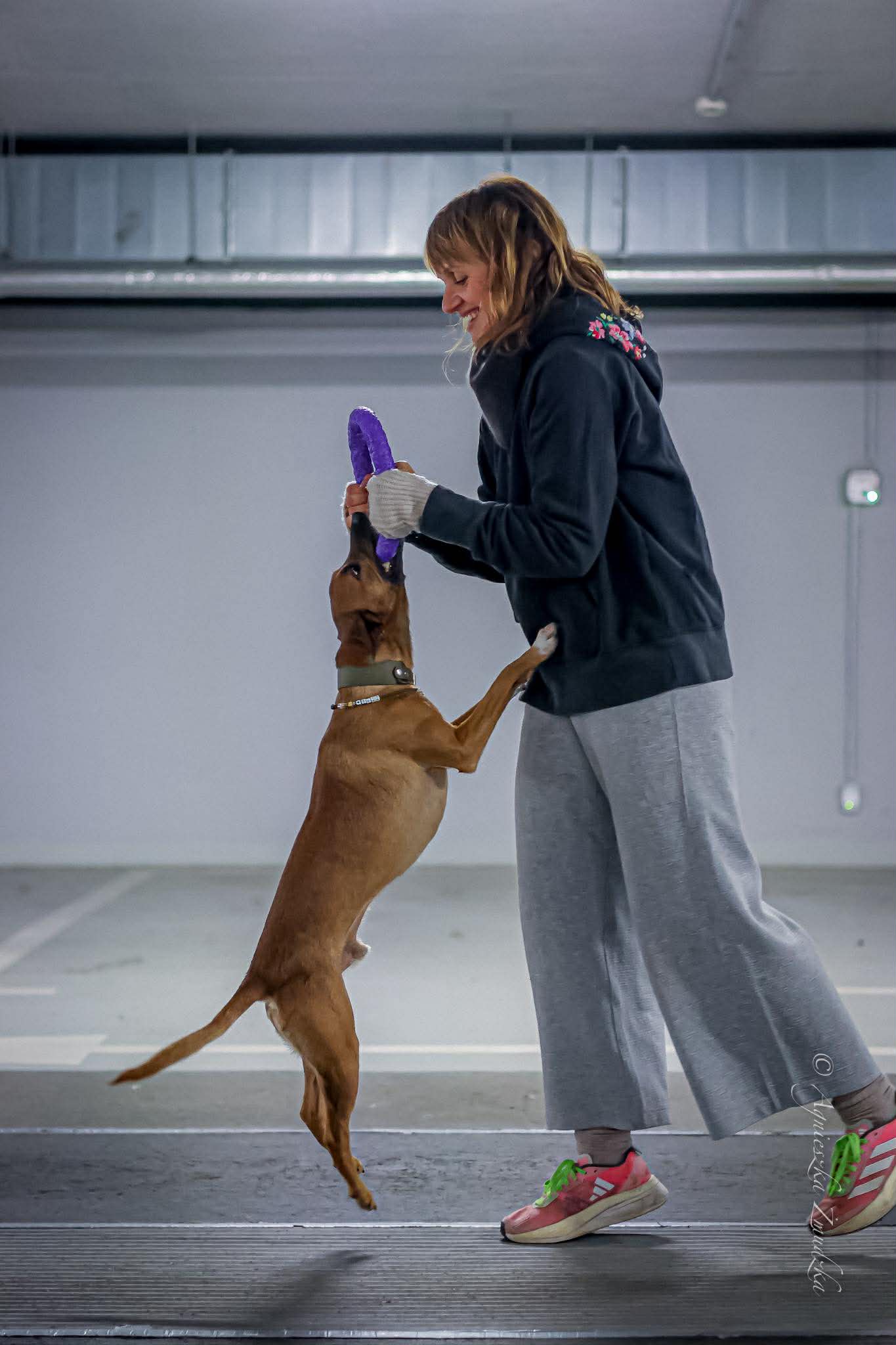 588344135_1229058612444239_3252313229094570451_n (1)