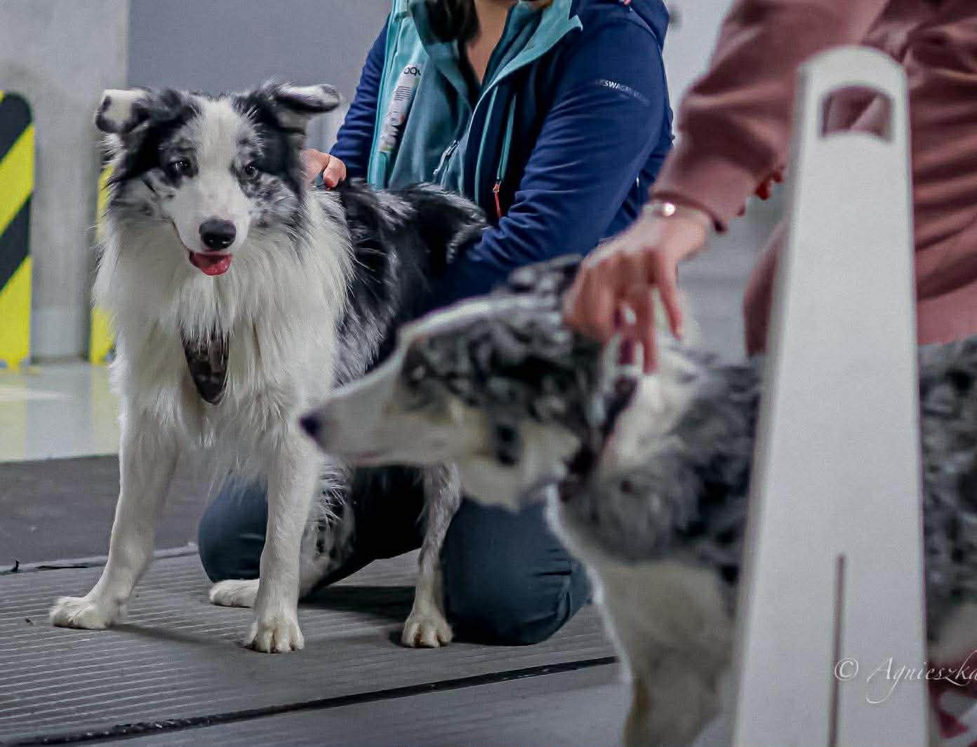 588888549_855666630332118_6205150665393182882_n (1)