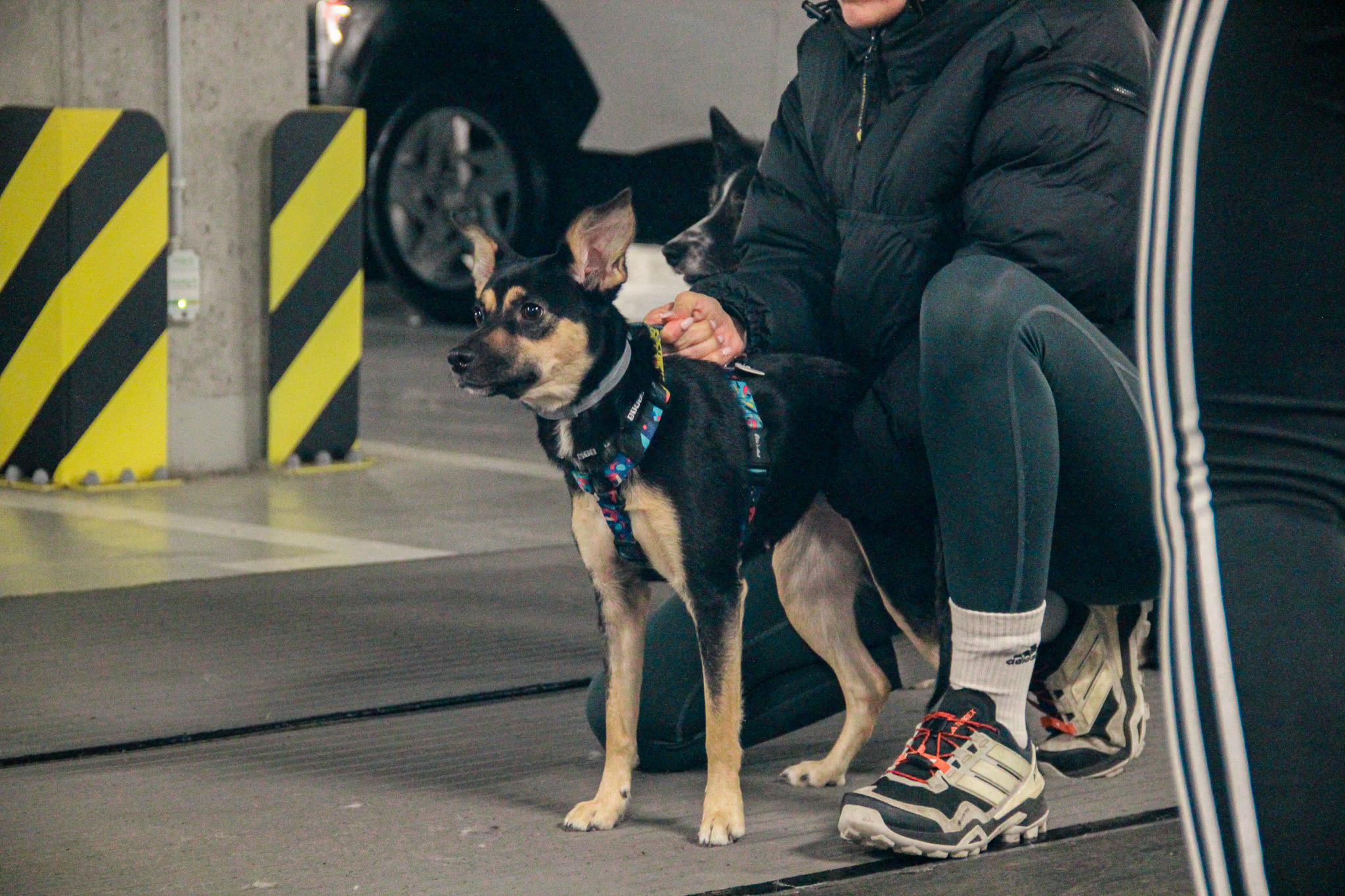 589023433_850691024387515_5649650281721098936_n (1)