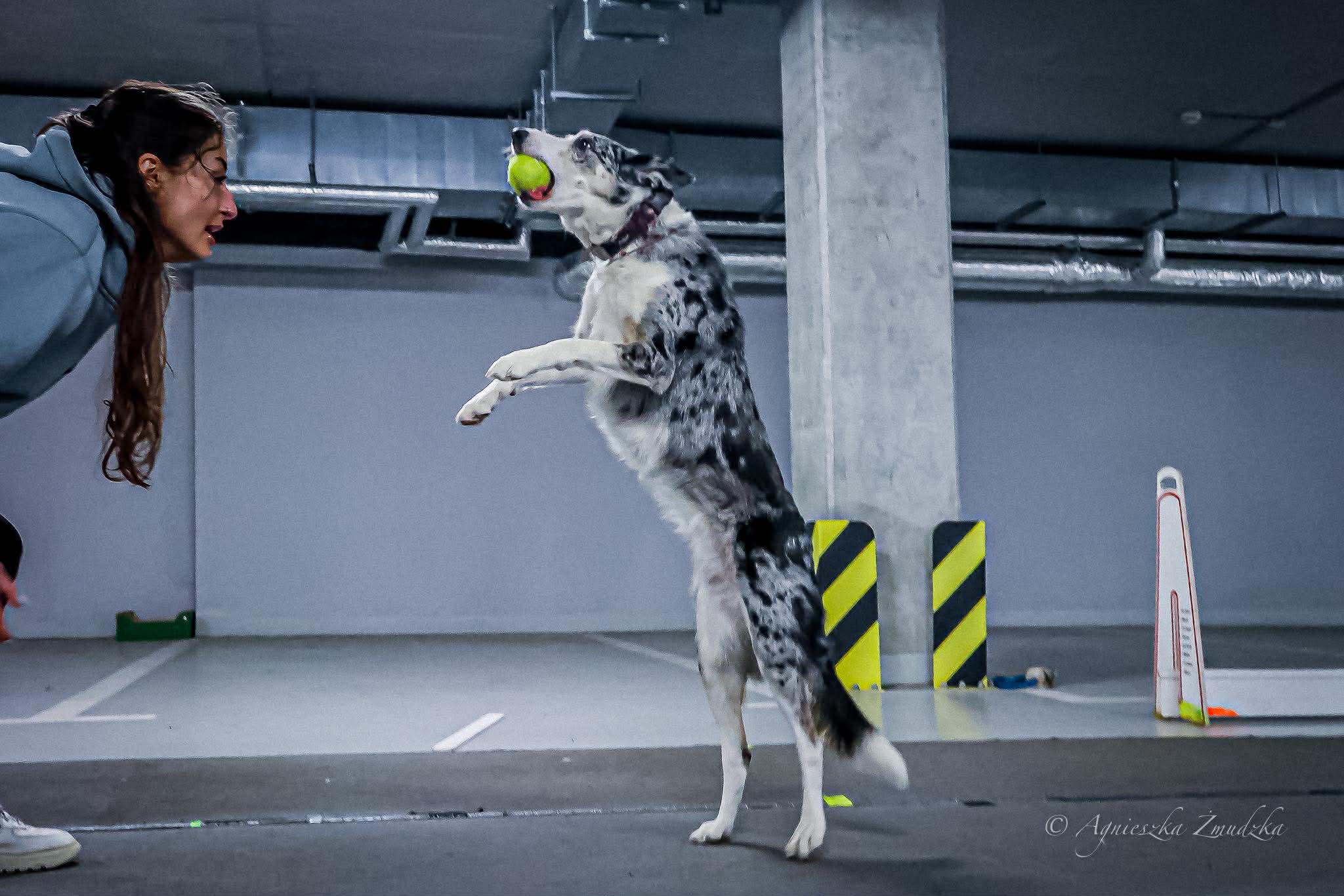 589867502_553469137861557_8866011766469402689_n