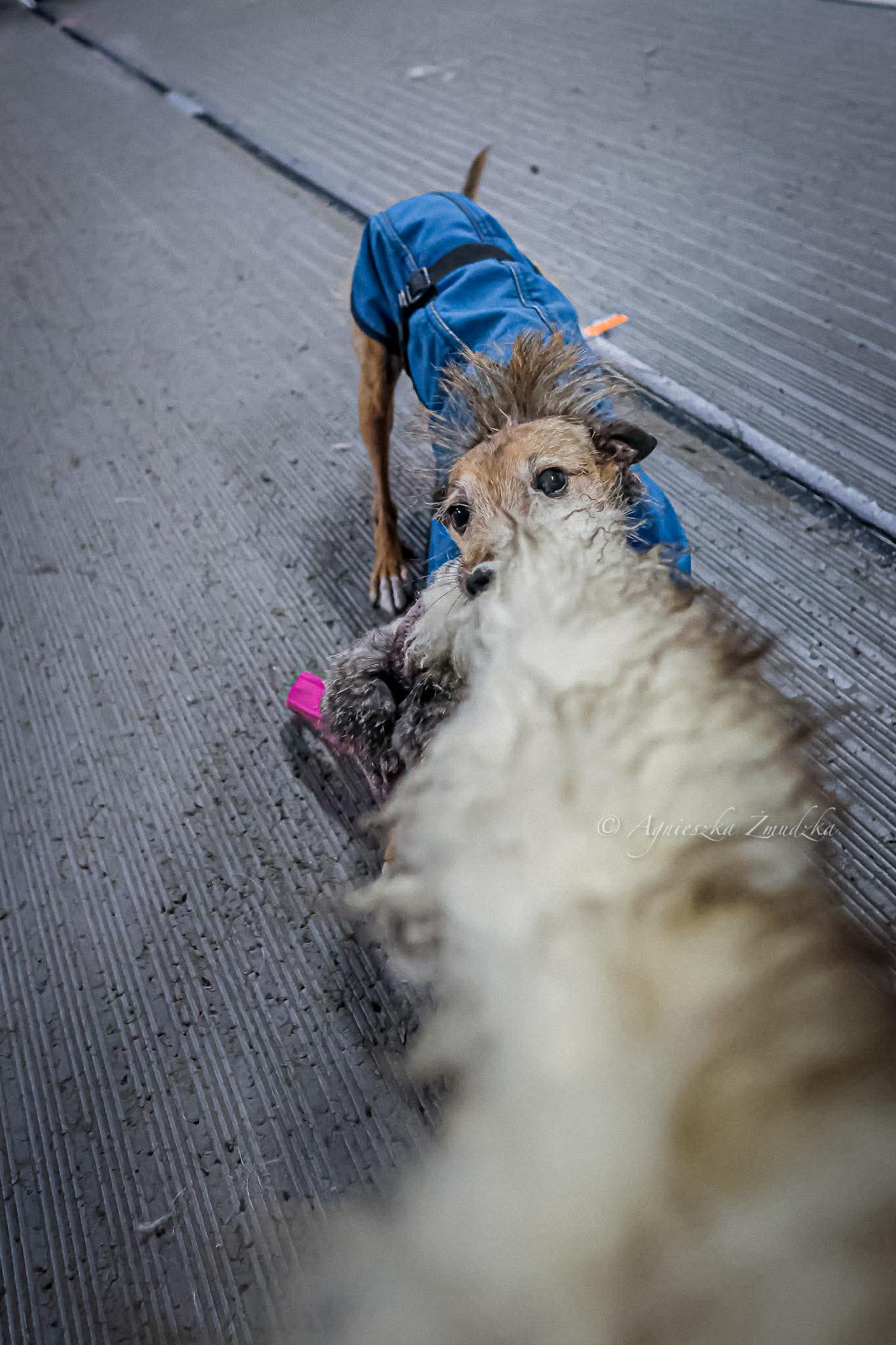 591673203_25185819651059483_1778770103106257642_n