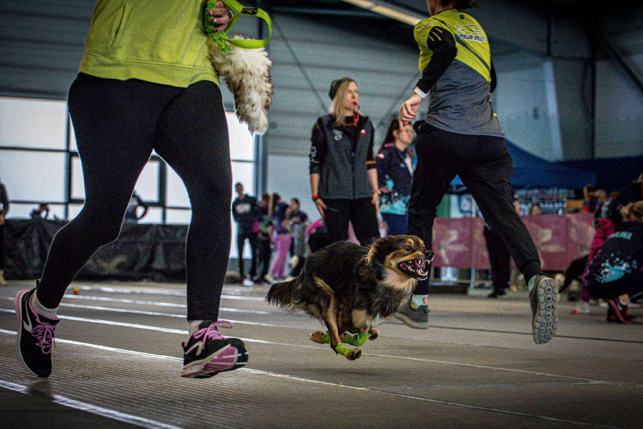 566512818_1155669356526599_2327494261876781692_n