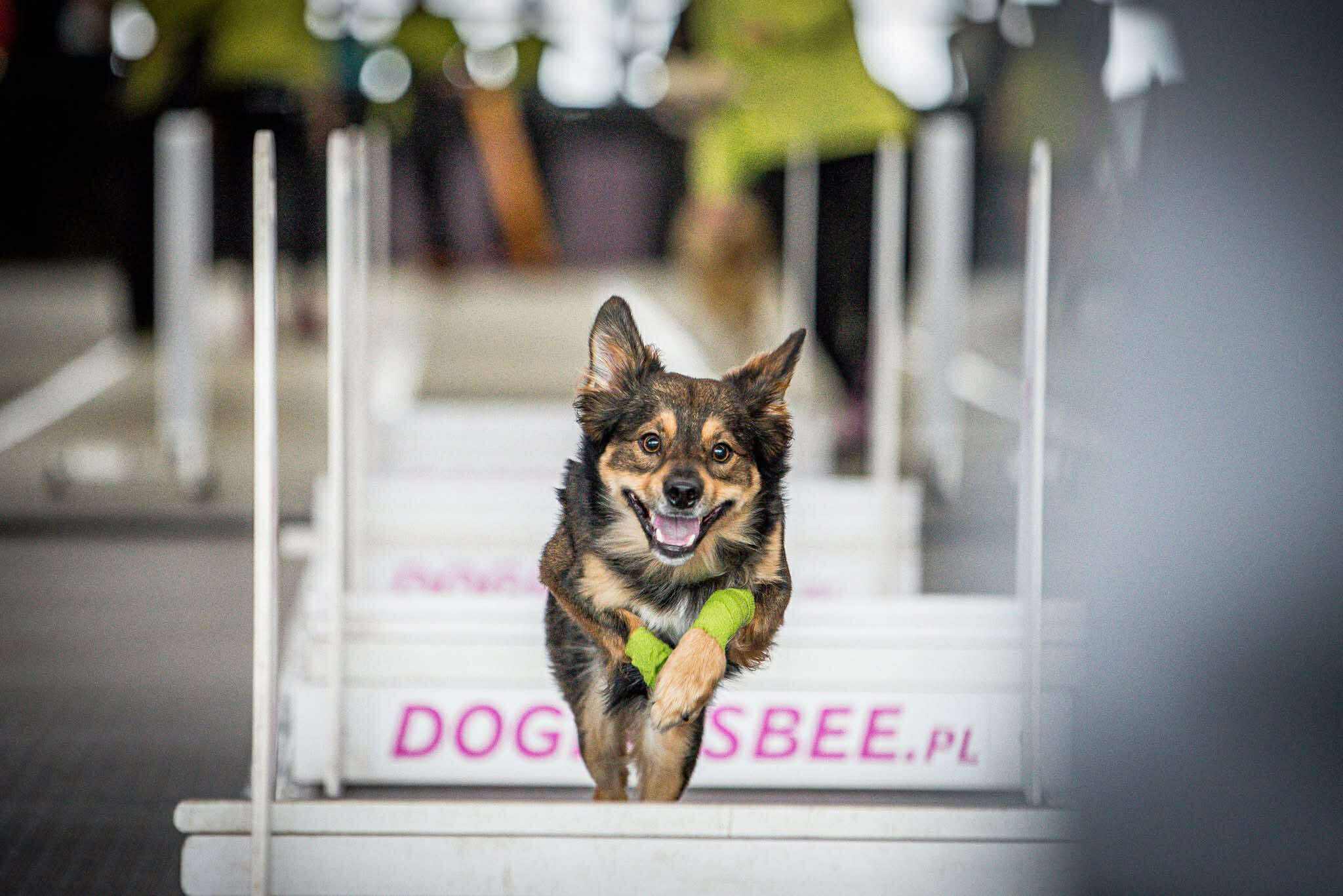 566600692_689111420385800_295198708549237163_n