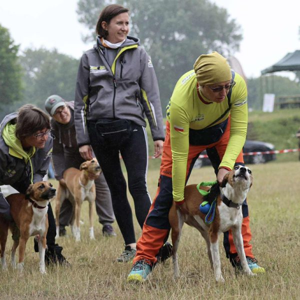 Grand Pris Unleashed 2025 – relacja