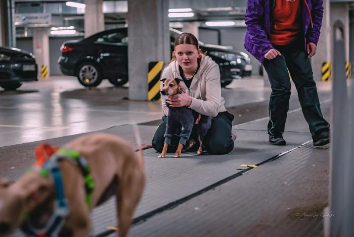 582103989_818900170935036_9119698743700317544_n